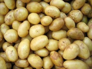 gotowane młode ziemniaki